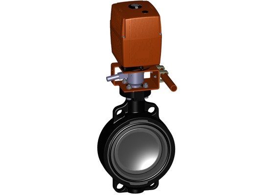 zawór motylkowy typ 145